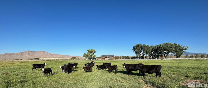 Property Photo: 250 Olson Ranch Road NV 89430