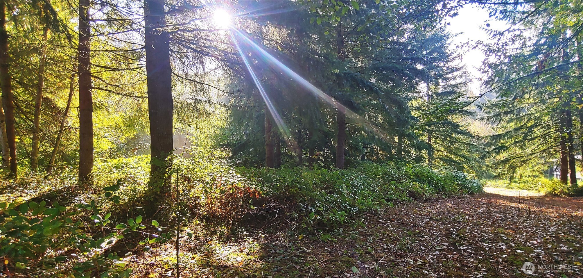 Property Photo: 0 Feather Ridge Drive WA 98625