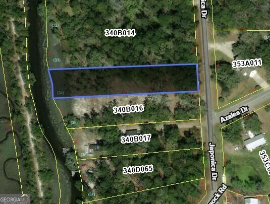 Property Photo:  Lot 34 Japonica Drive  GA 31320 