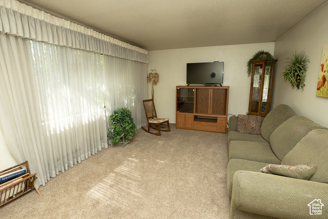 Property Photo:  870 S 940 W  UT 84701 