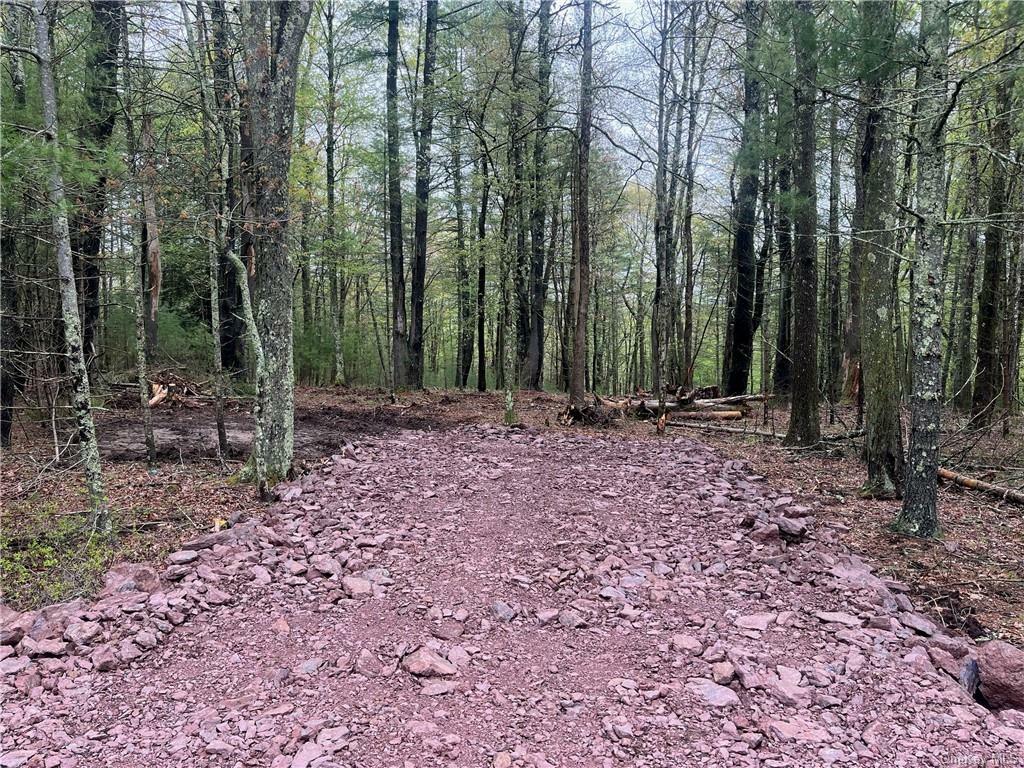 Lot 2 Van Tuyl Road  Barryville NY 12719 photo