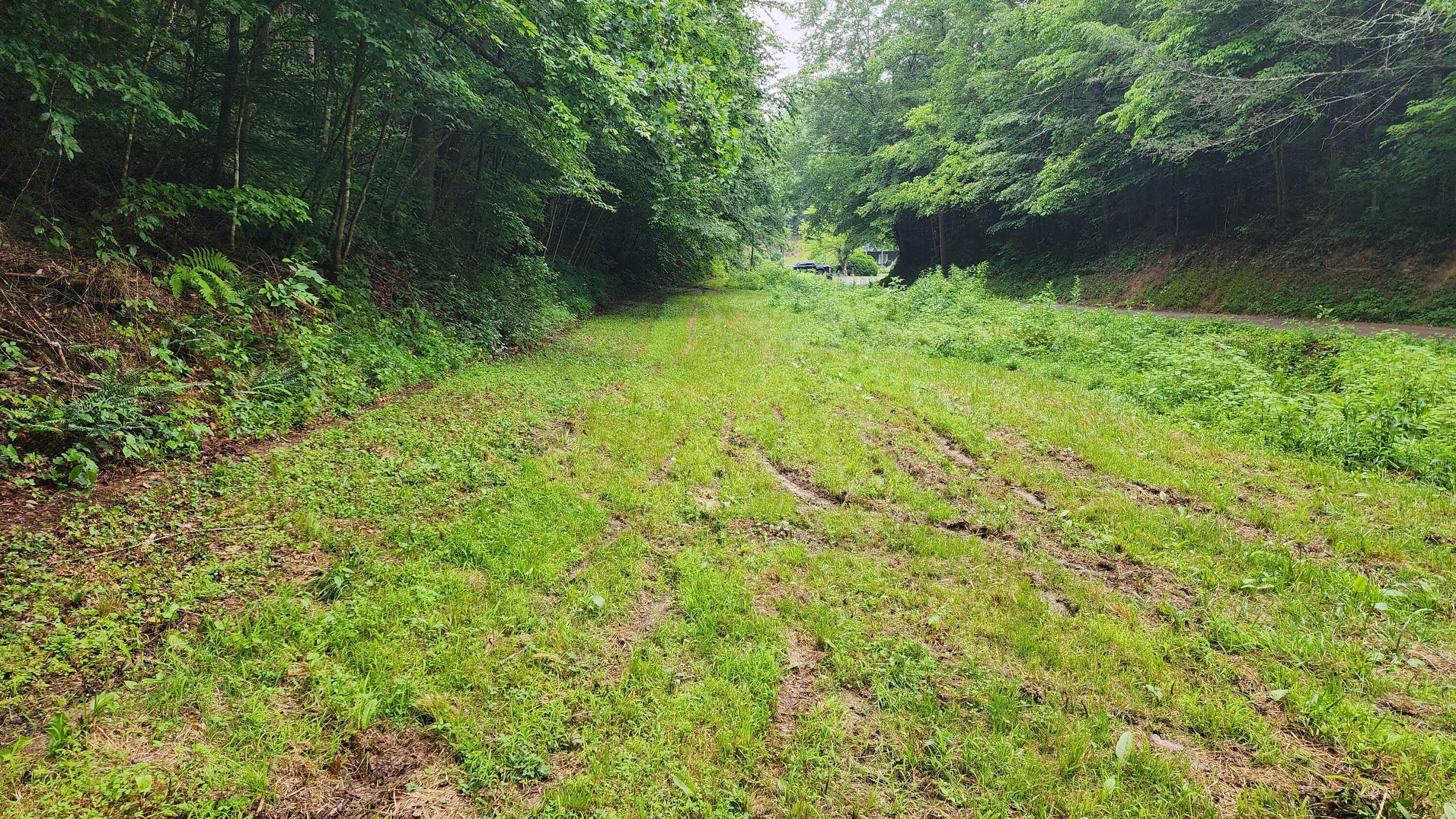 Property Photo:  0000 Chavis Road  TN 37722 