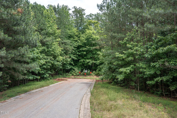 Property Photo: 0 Old Airport Road NC 27540