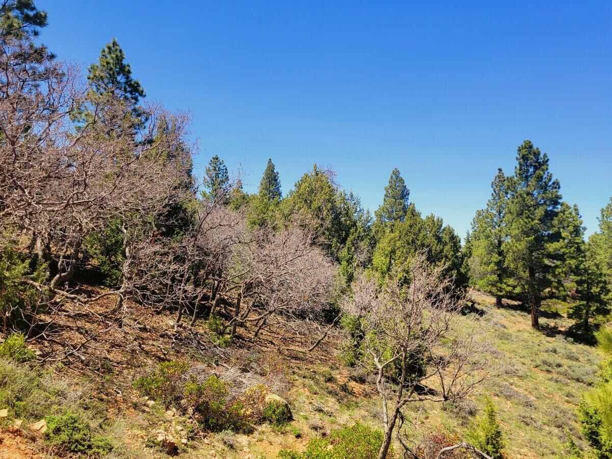 Property Photo: Lot 5 Crestline Ave UT 84762