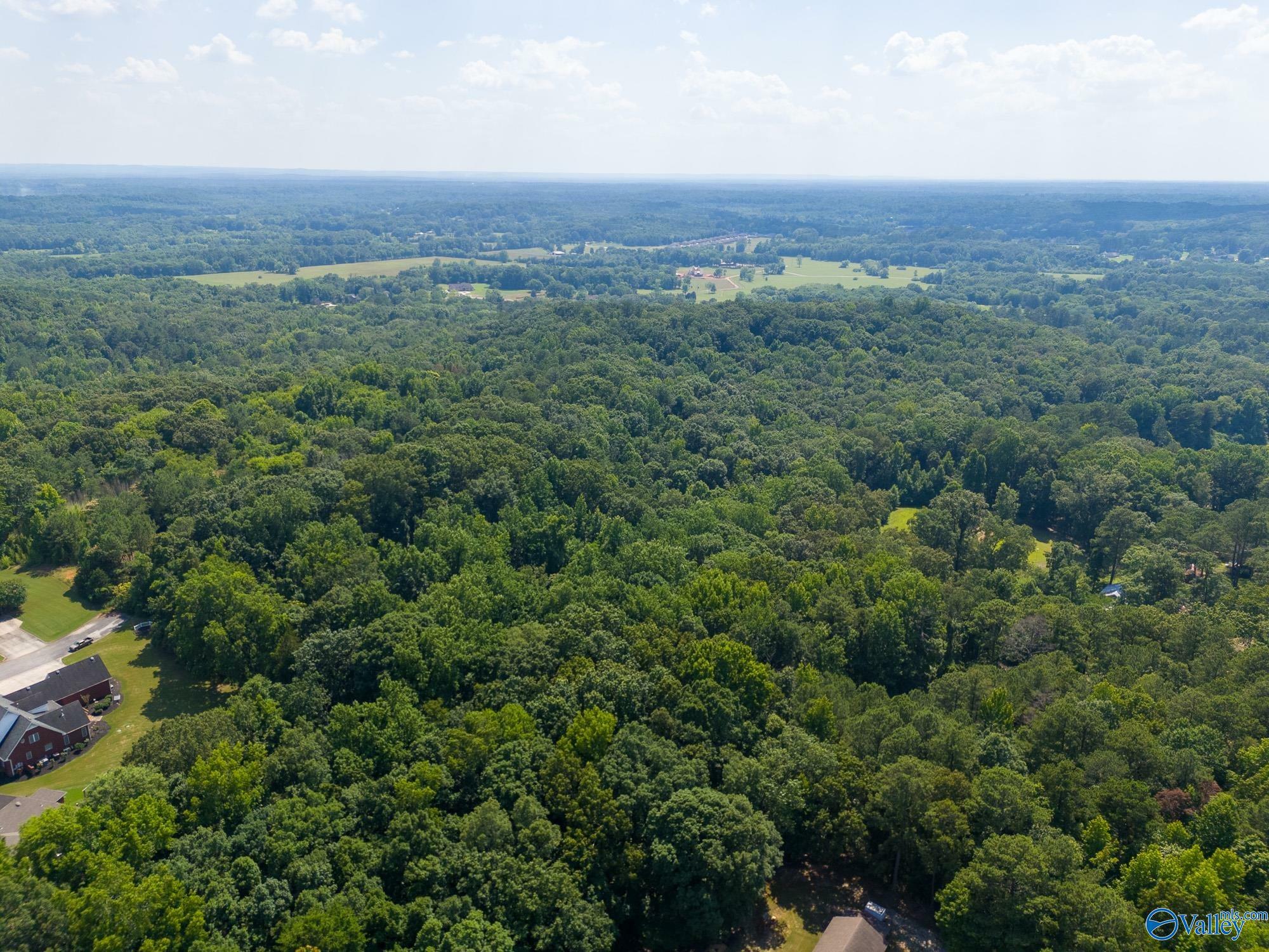 Property Photo:  25 Acres Anna Drive SW  AL 35603 