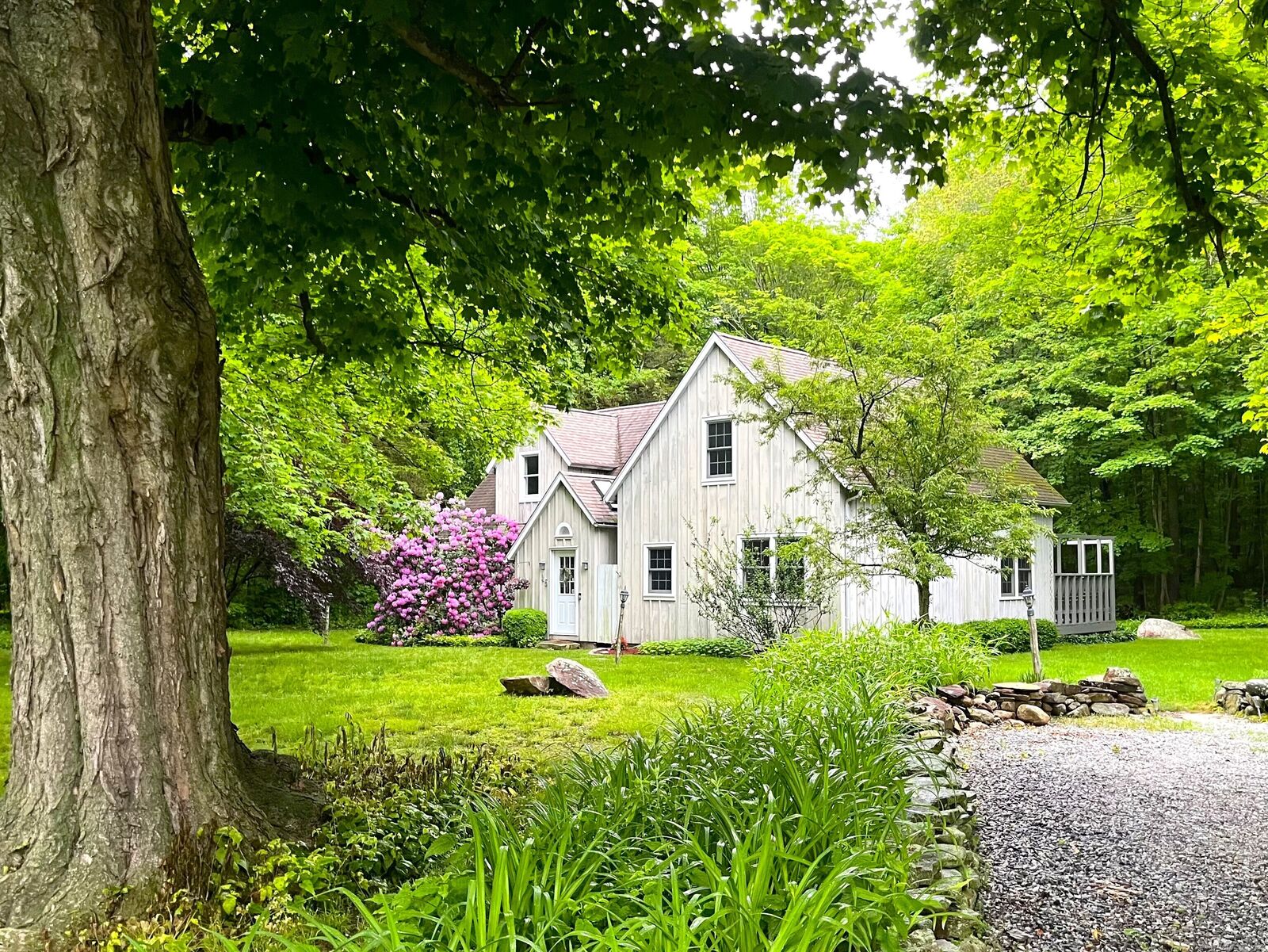 Property Photo:  45 Winthrop Road  CT 06412 