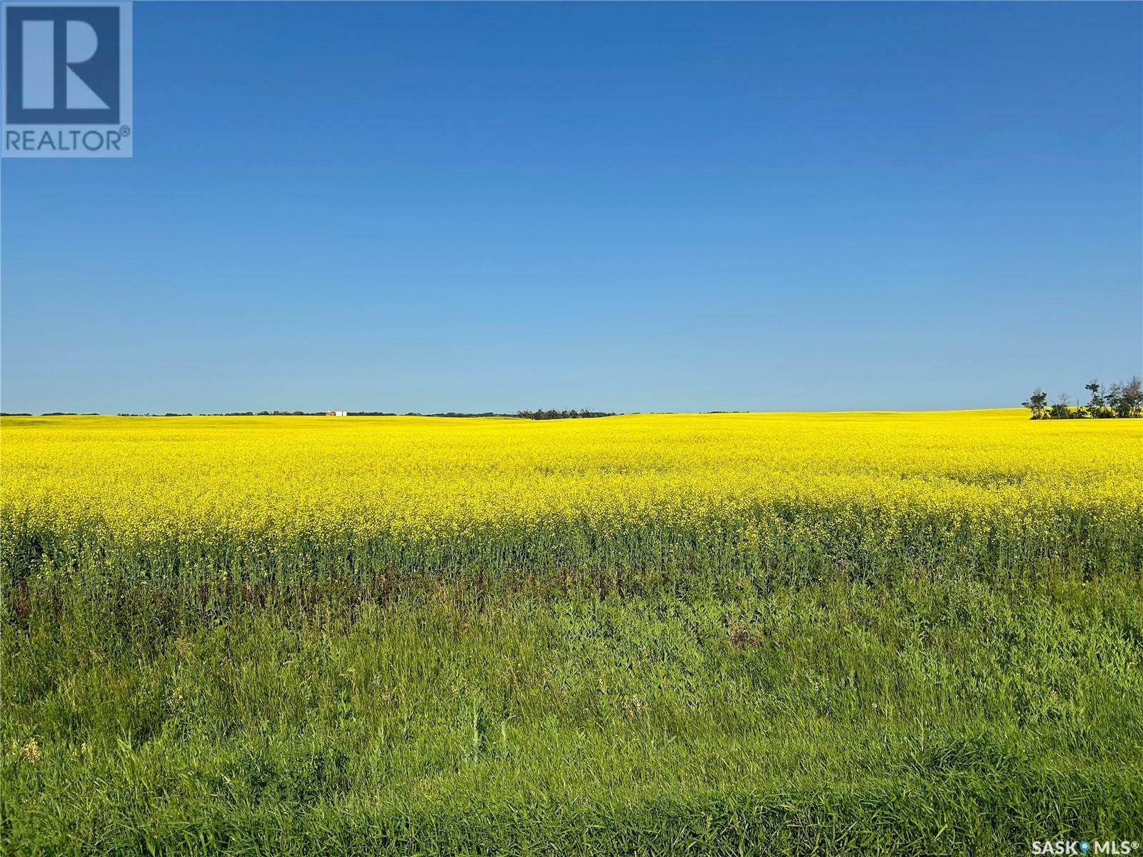 Photo de la propriété:  Tannas Land 159 Acres  SK S0G 1J0 