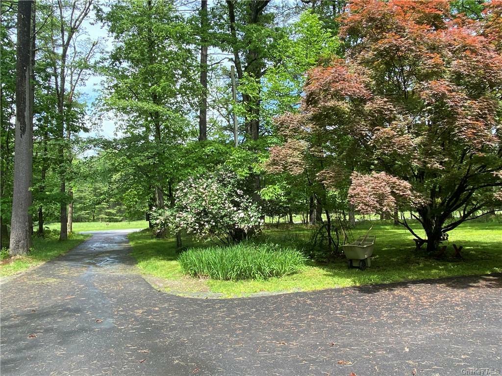 Property Photo:  204 Lackawaxen Road  NY 12764 