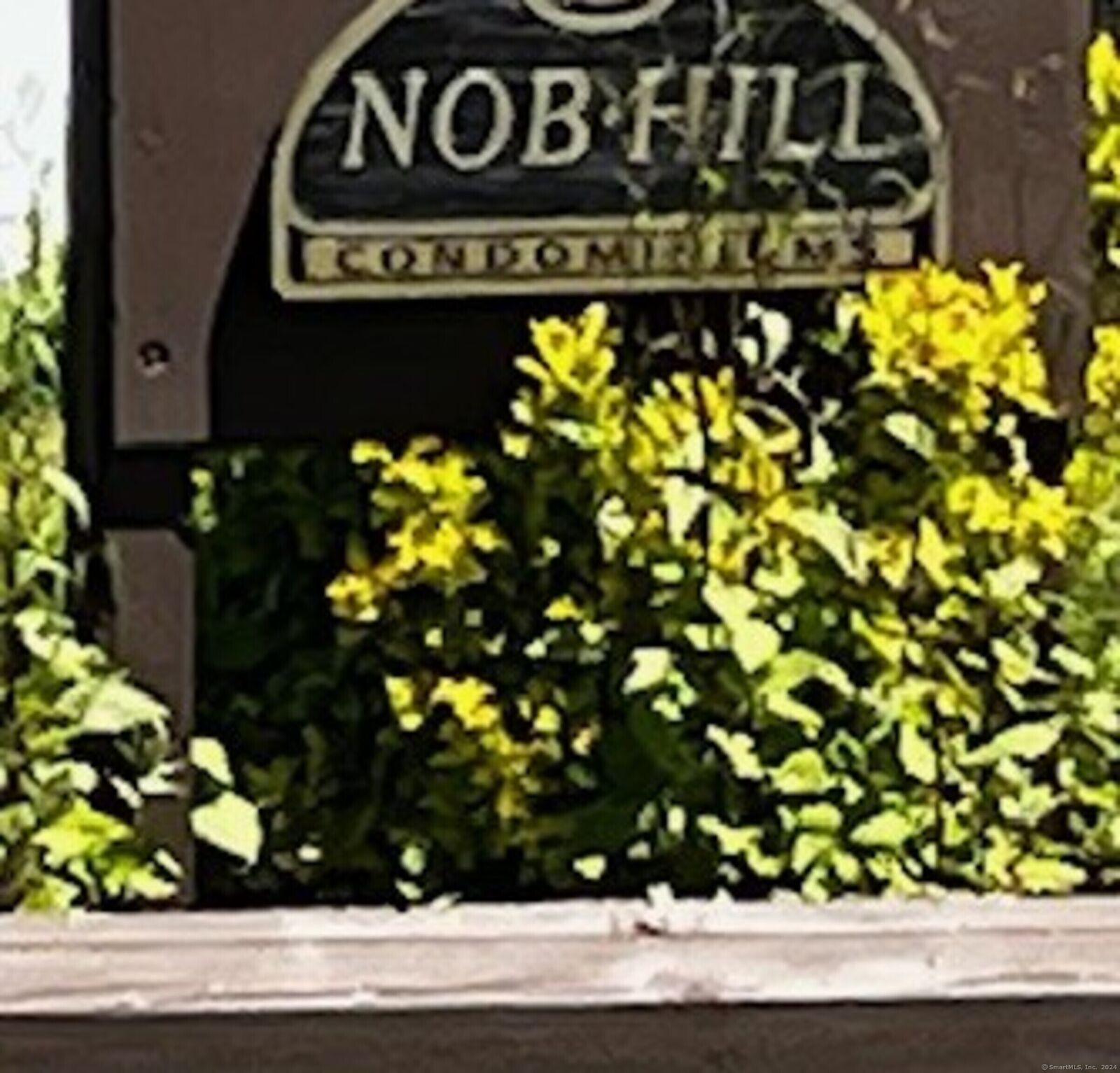 Property Photo:  213 Virginia Avenue  CT 06610 