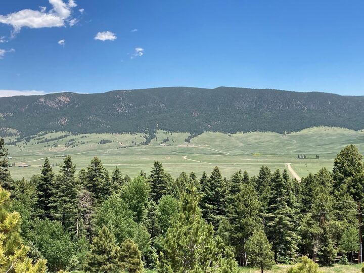 Property Photo:  106 Eagle Drive  NM 87718 