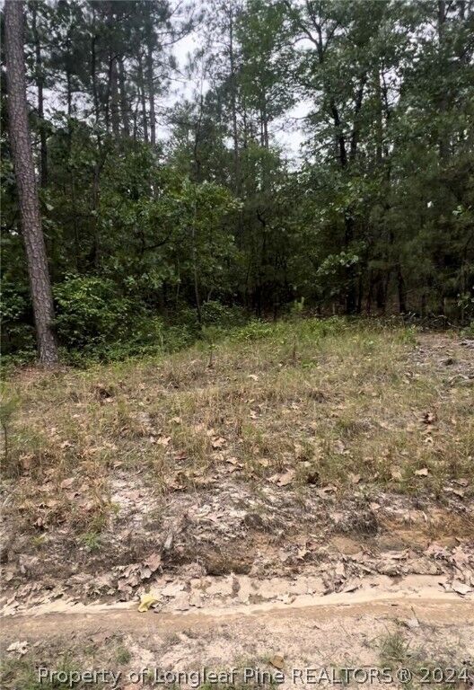 Property Photo: Lot 24 Cedar Lane NC 27242