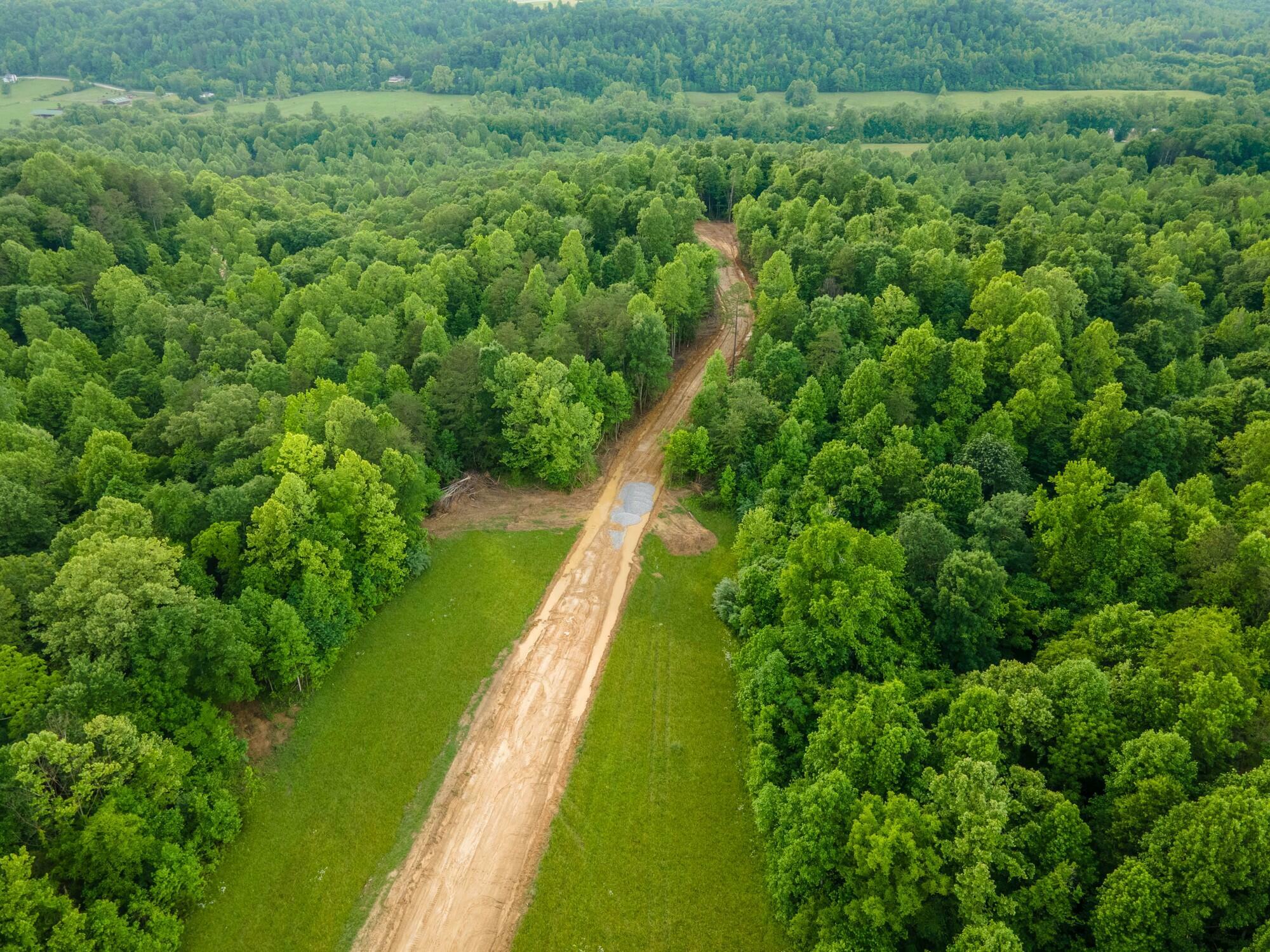 Property Photo:  Lot 153 Mt Morgan Road  KY 40769 