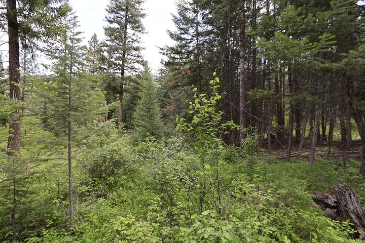 Property Photo: Nhn Tract 1B E Fork Combest Creek Road MT 59859