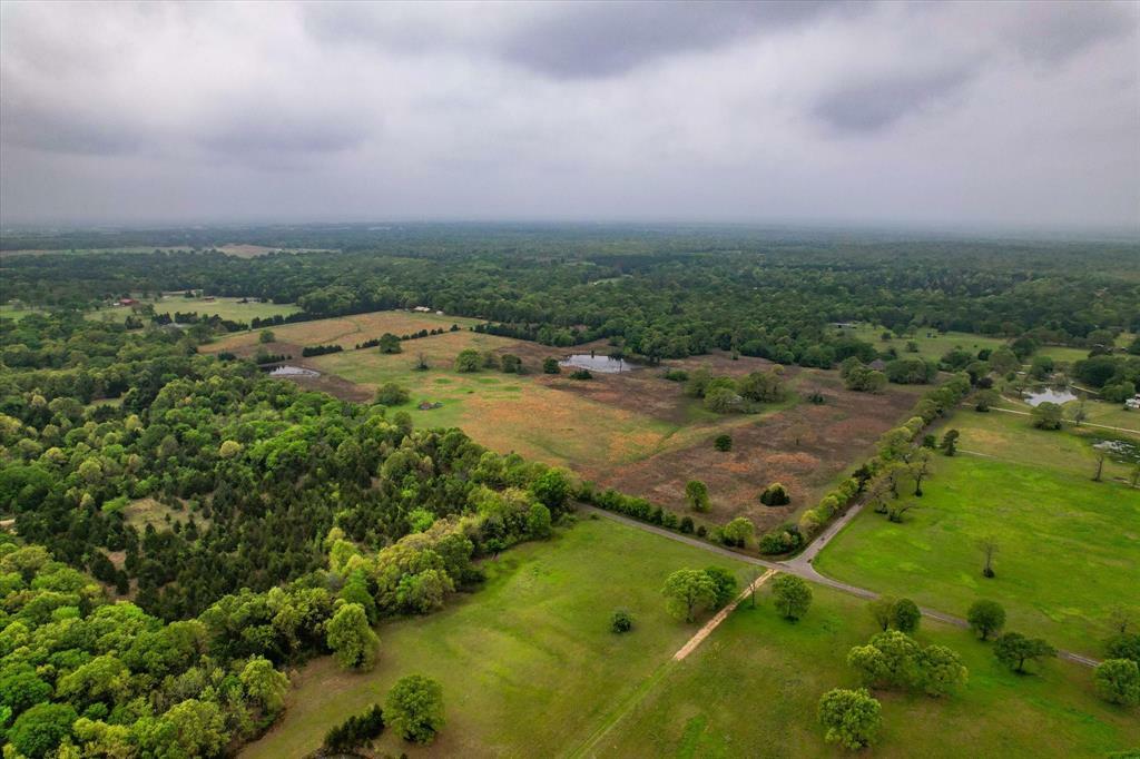 Property Photo:  5 Ac County Road 33800  TX 75460 