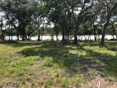 Property Photo:  0 County Road 306  TX 77422 