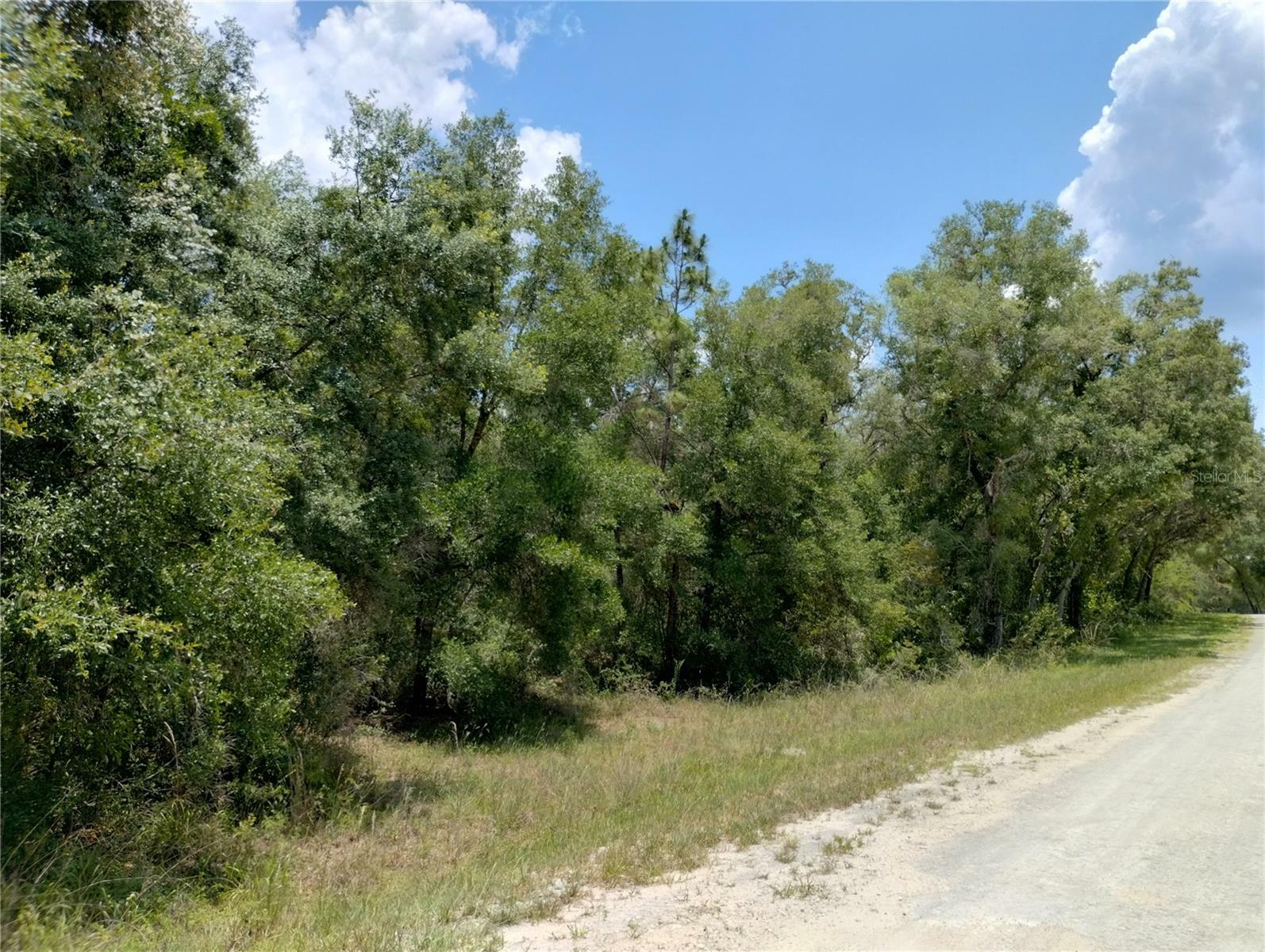 Property Photo:  34215 Berryhill  FL 33597 