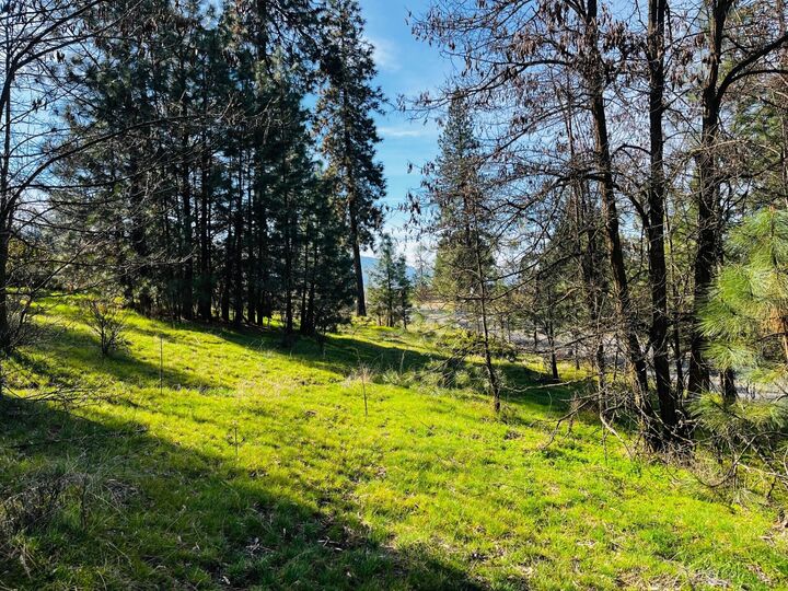 Property Photo:  1390 Lookout Point Way  WA 99141 