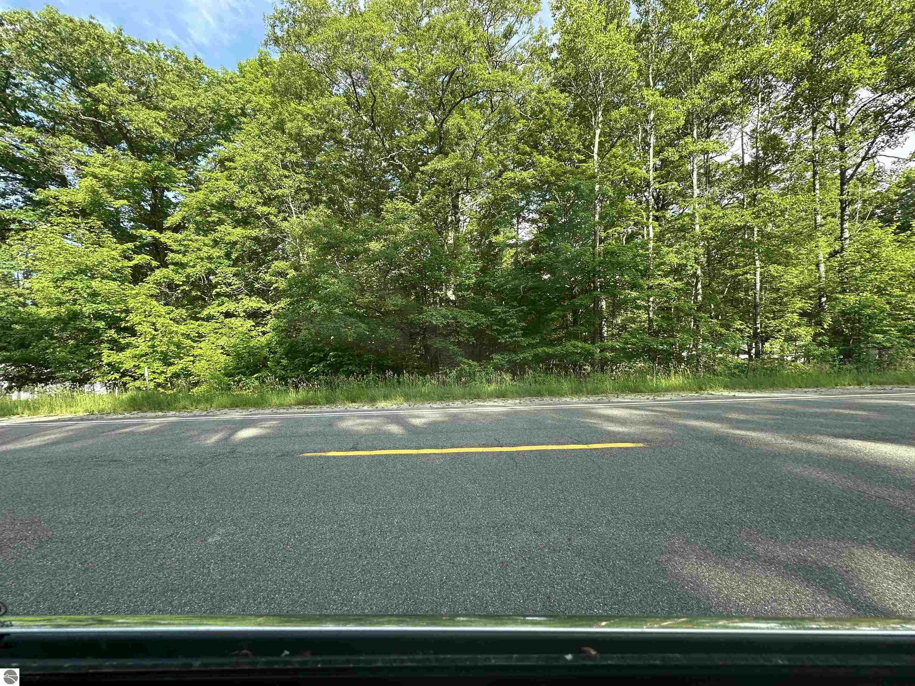 Property Photo:  Lot 14 M-37  MI 49601 