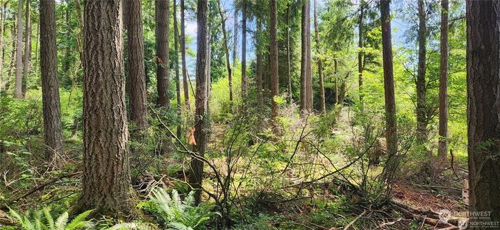 9446 W 34th Crest Court Ave  Blaine WA 98230 photo