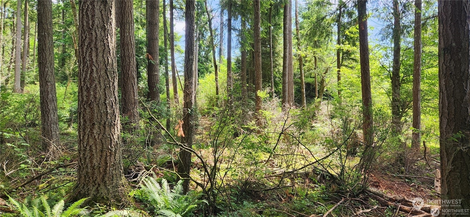 Property Photo: 9446 W 34th Crest Court Ave WA 98230