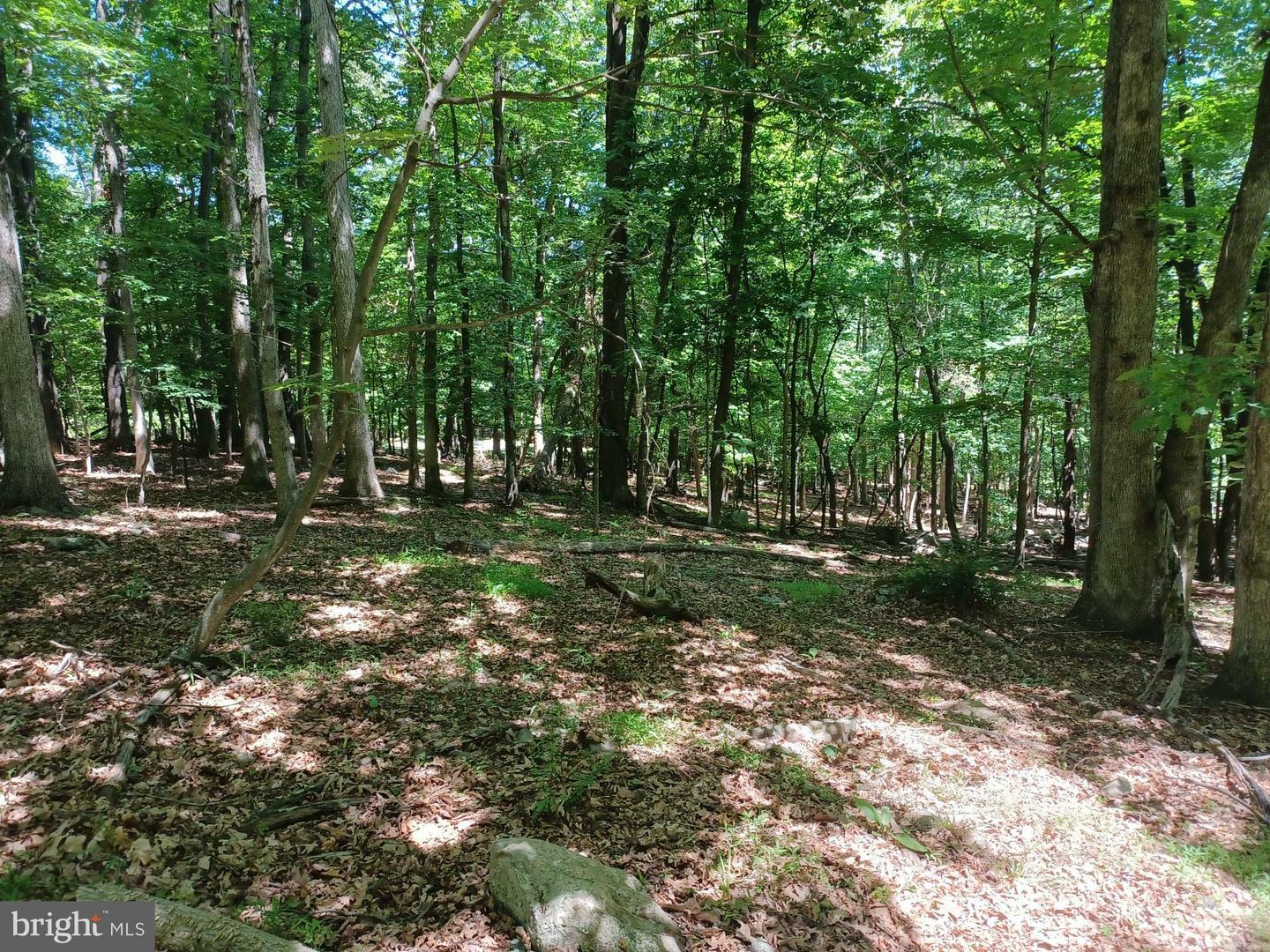 Property Photo:  Lot 40 Wild Apple Lane  WV 25434 