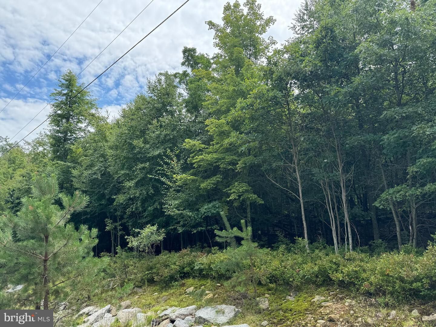 Property Photo:  Mv-073 Stoney Mountain Road  PA 18202 
