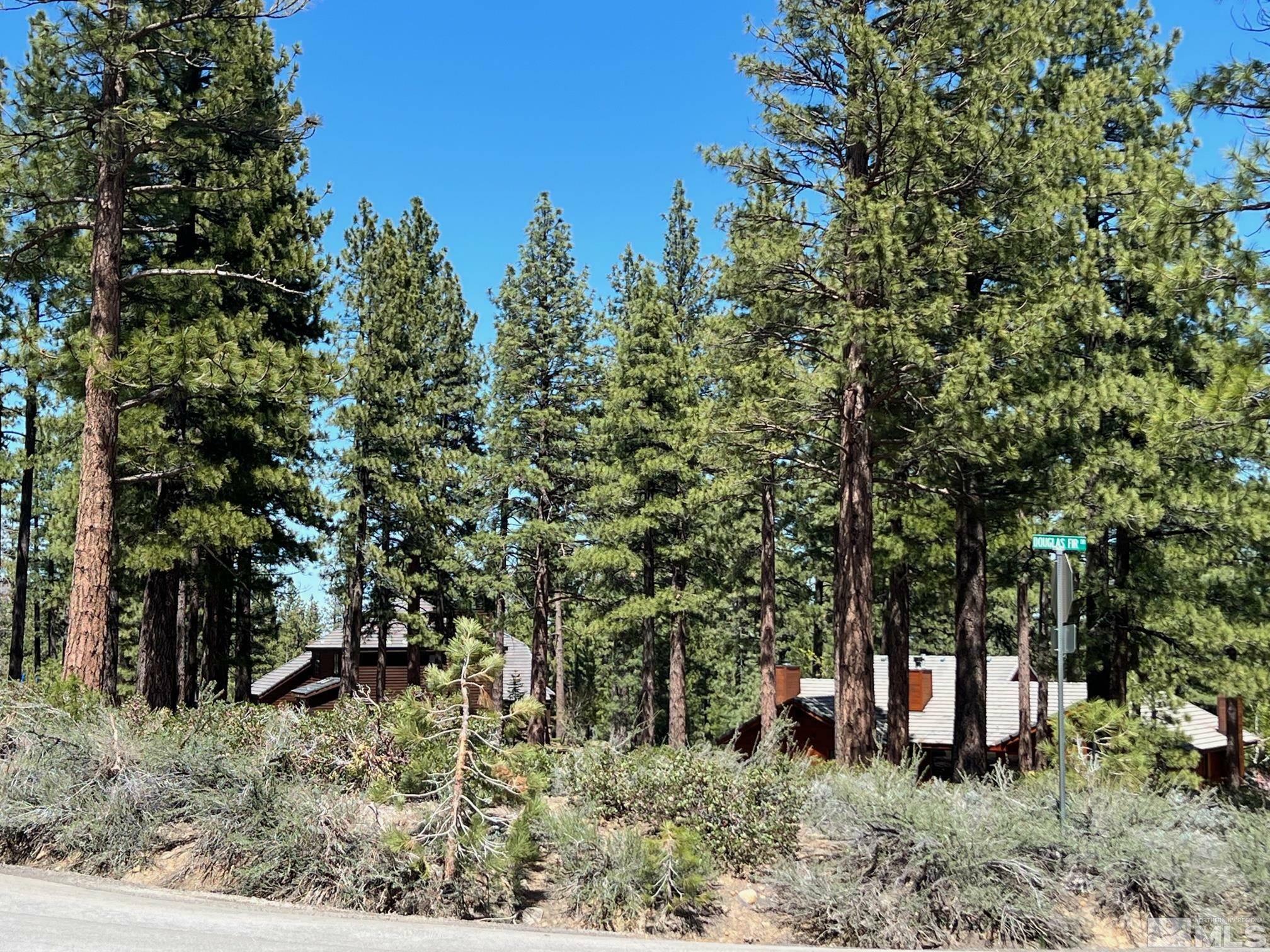 Property Photo:  280 Douglas Fir Drive 19  NV 89511-3763 