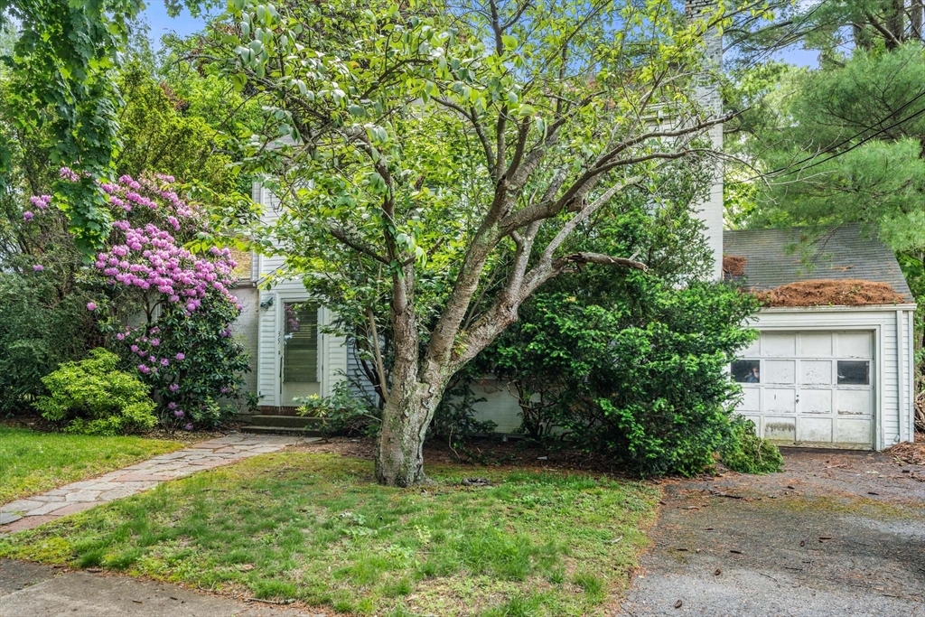 Property Photo:  35 Haynes Rd  MA 02459 