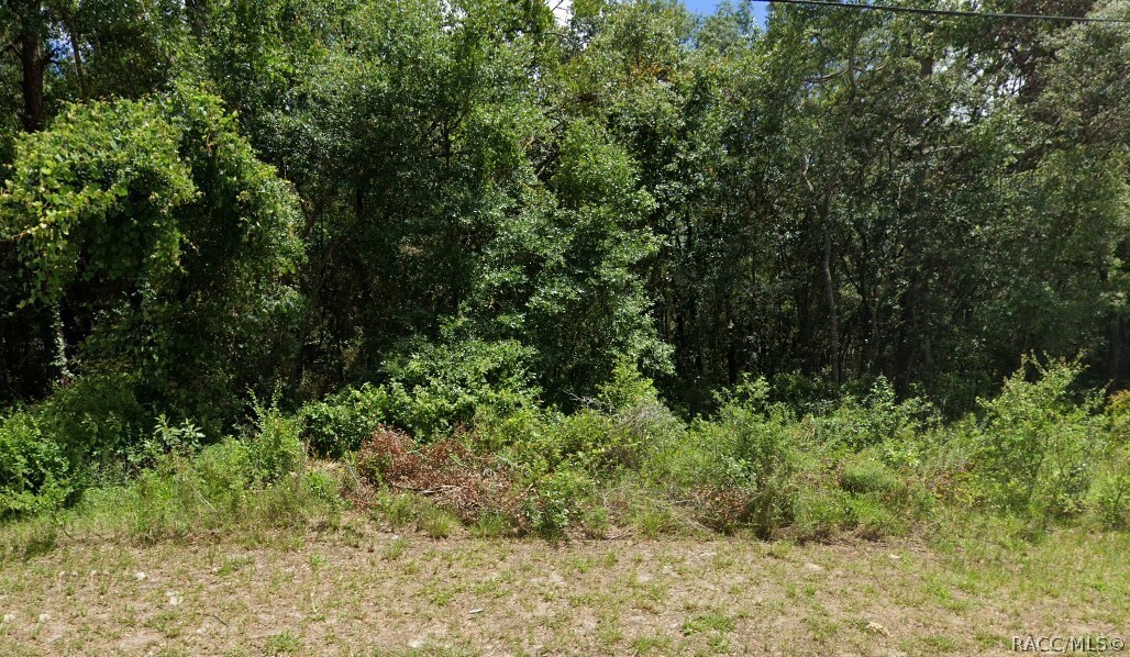 Property Photo:  1623 Dickinson Street  FL 34450 