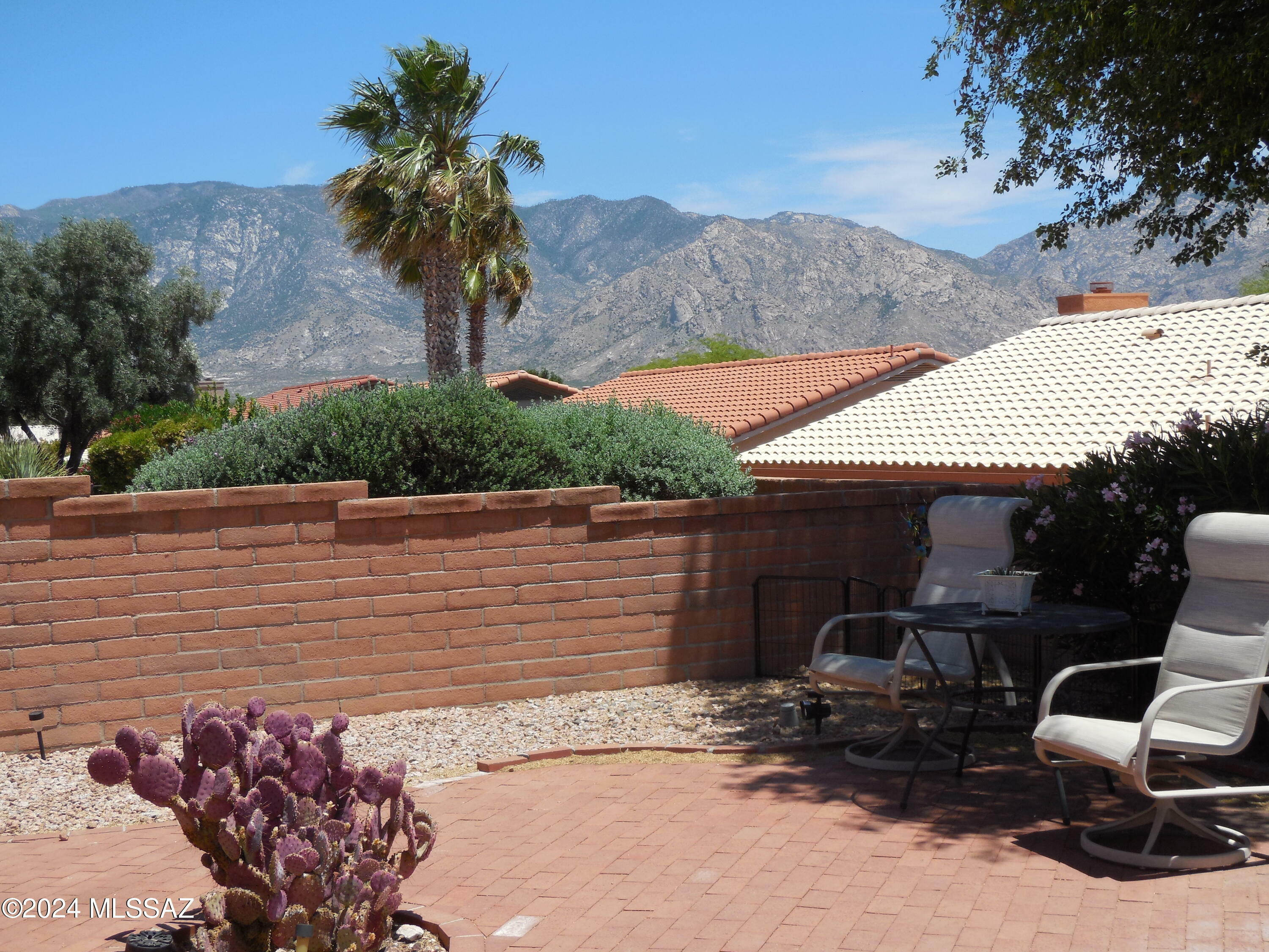 Property Photo:  2346 E Nasturtium Street  AZ 85755 