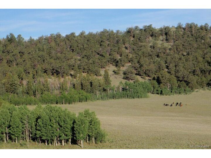 Property Photo:  1185 County Road 734  CO 80440 