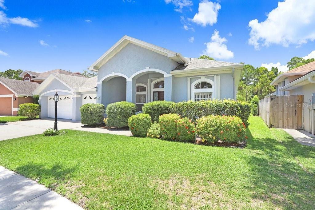 Property Photo:  10008 Bennington Drive  FL 33626 