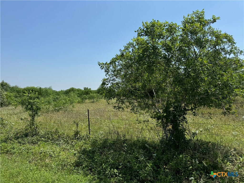 Property Photo:  135 Steele Branch Ln  TX 78160 