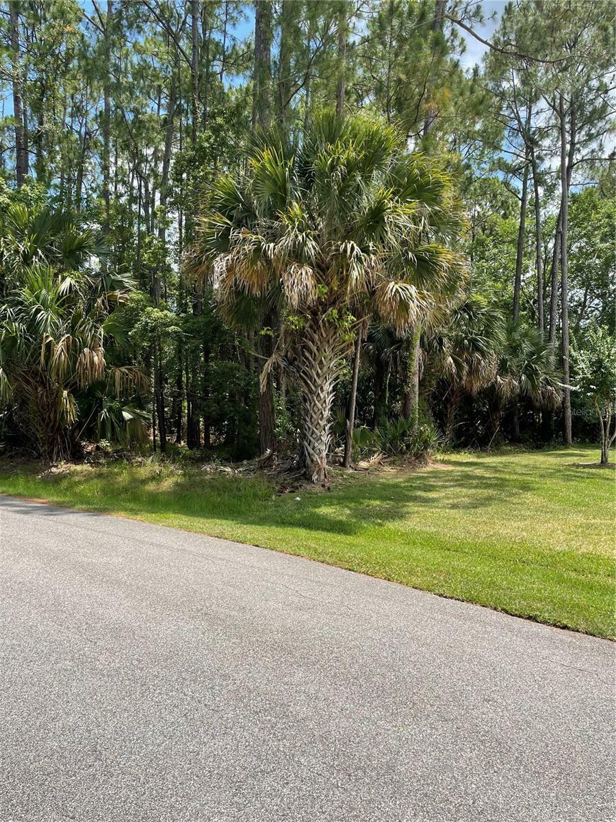 Property Photo:  62 Fountain Gate Ln.  FL 32137 