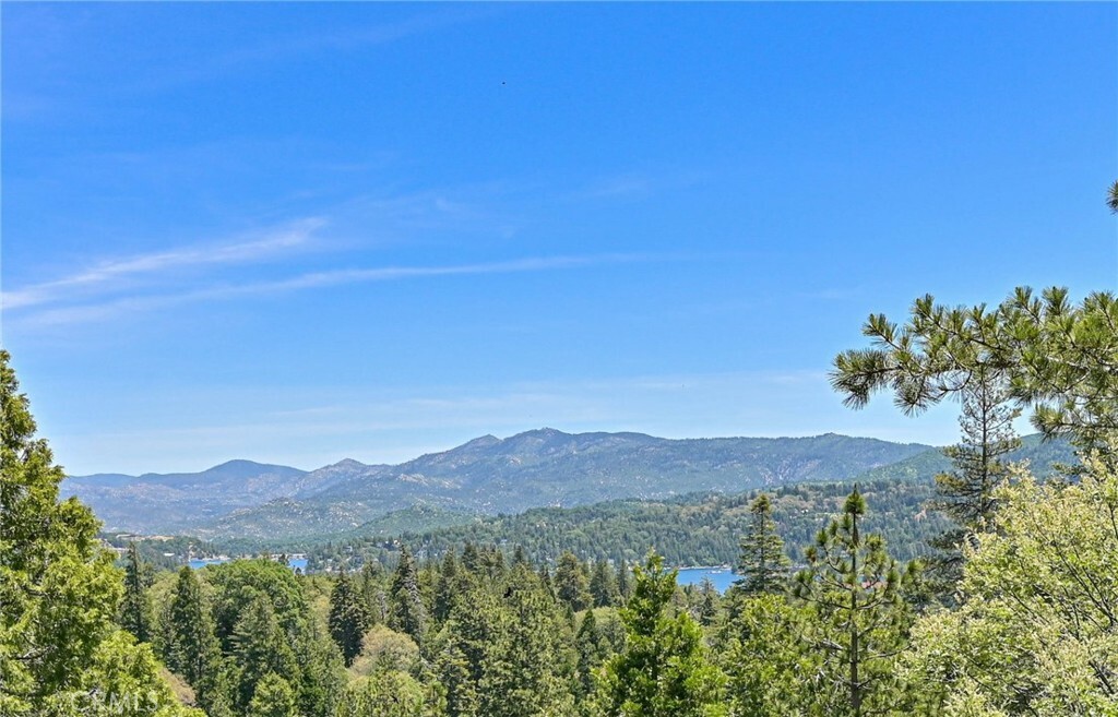 Property Photo:  361 Grizzly Road  CA 92352 