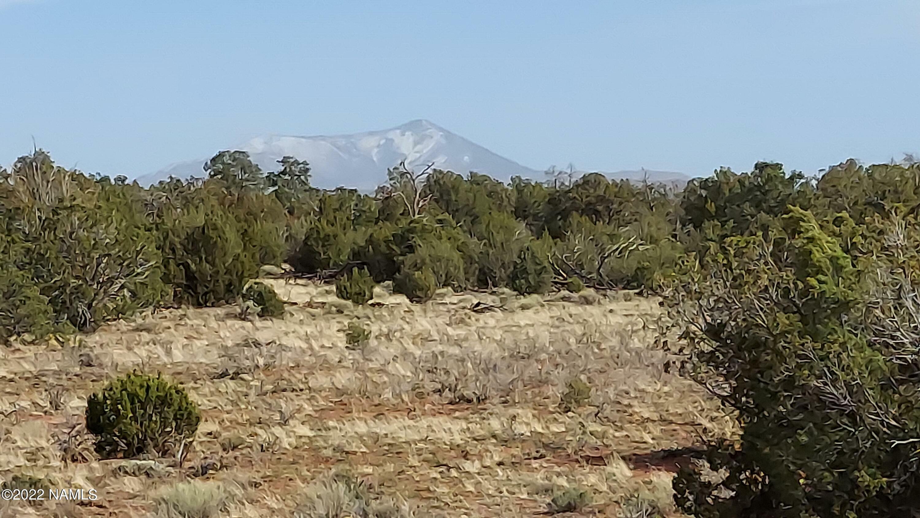 Property Photo:  8755 Hawkeye Circle 303  AZ 86046 