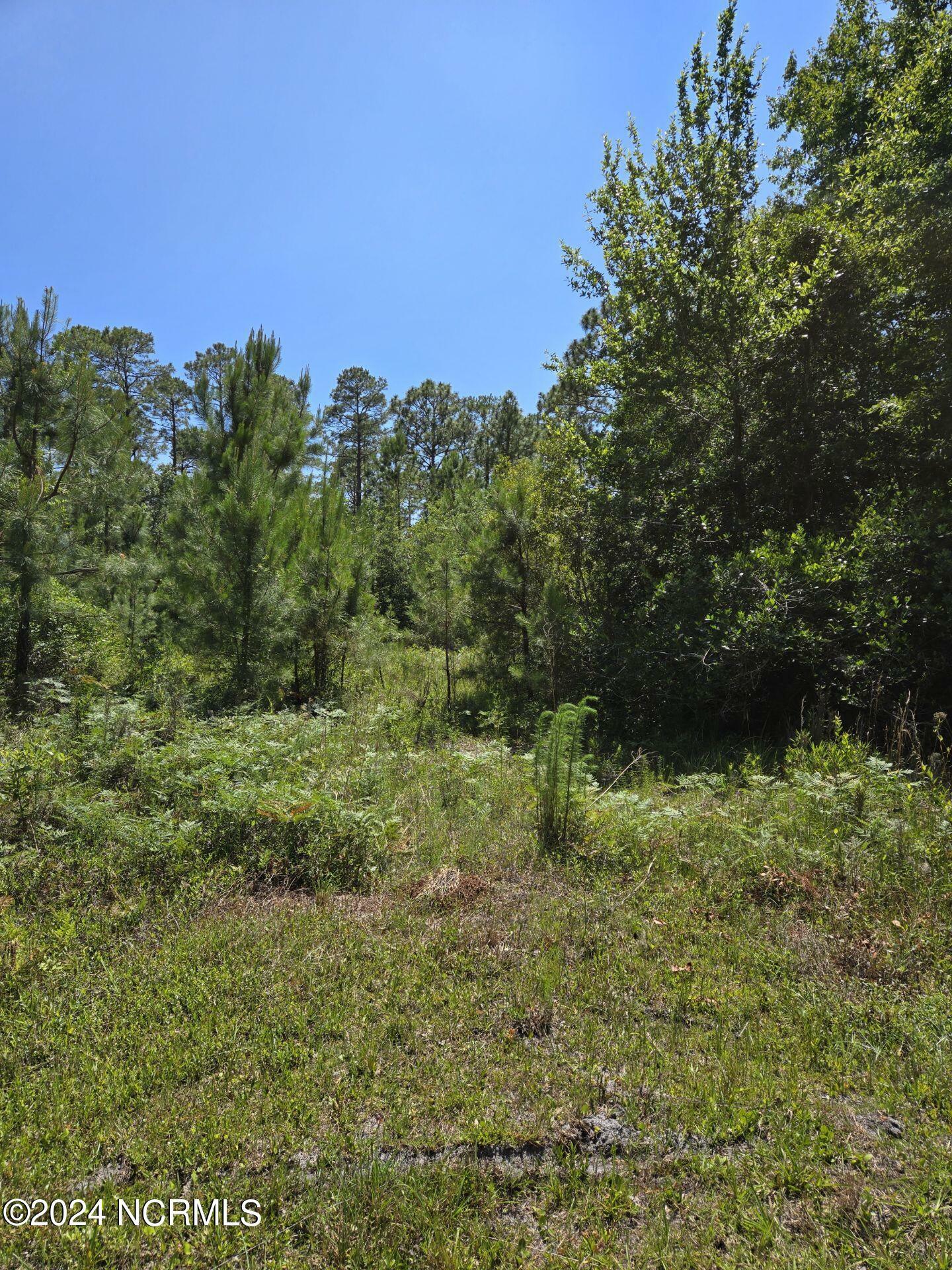 Property Photo:  371 &Amp 381 Elm Road  NC 28461 