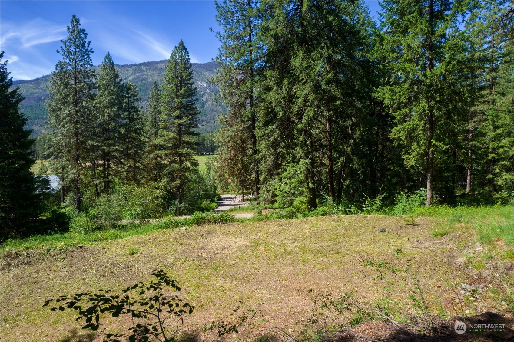 Property Photo:  70 Chechaquo Ranch Road  WA 98833 