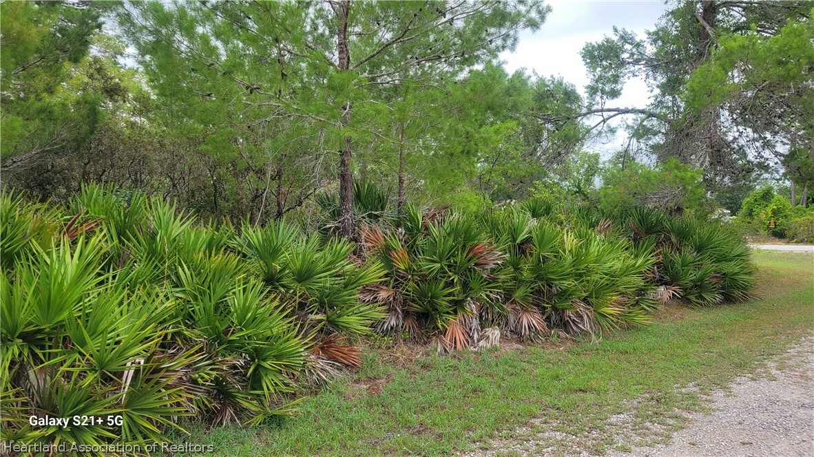 Property Photo:  Lot 10 Blk 57 Ailcanthus Street  FL 33852 