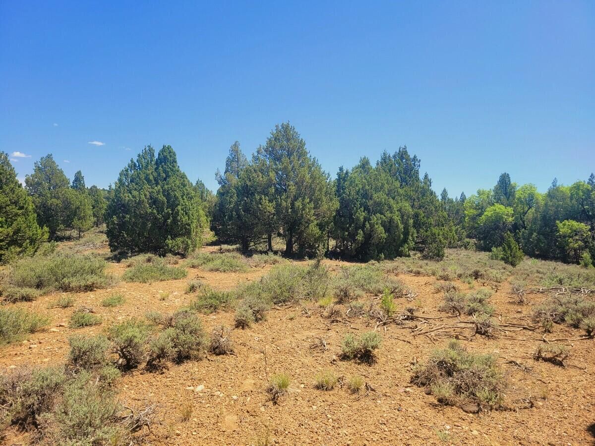 Property Photo: Lot 30 Cree Way UT 84762