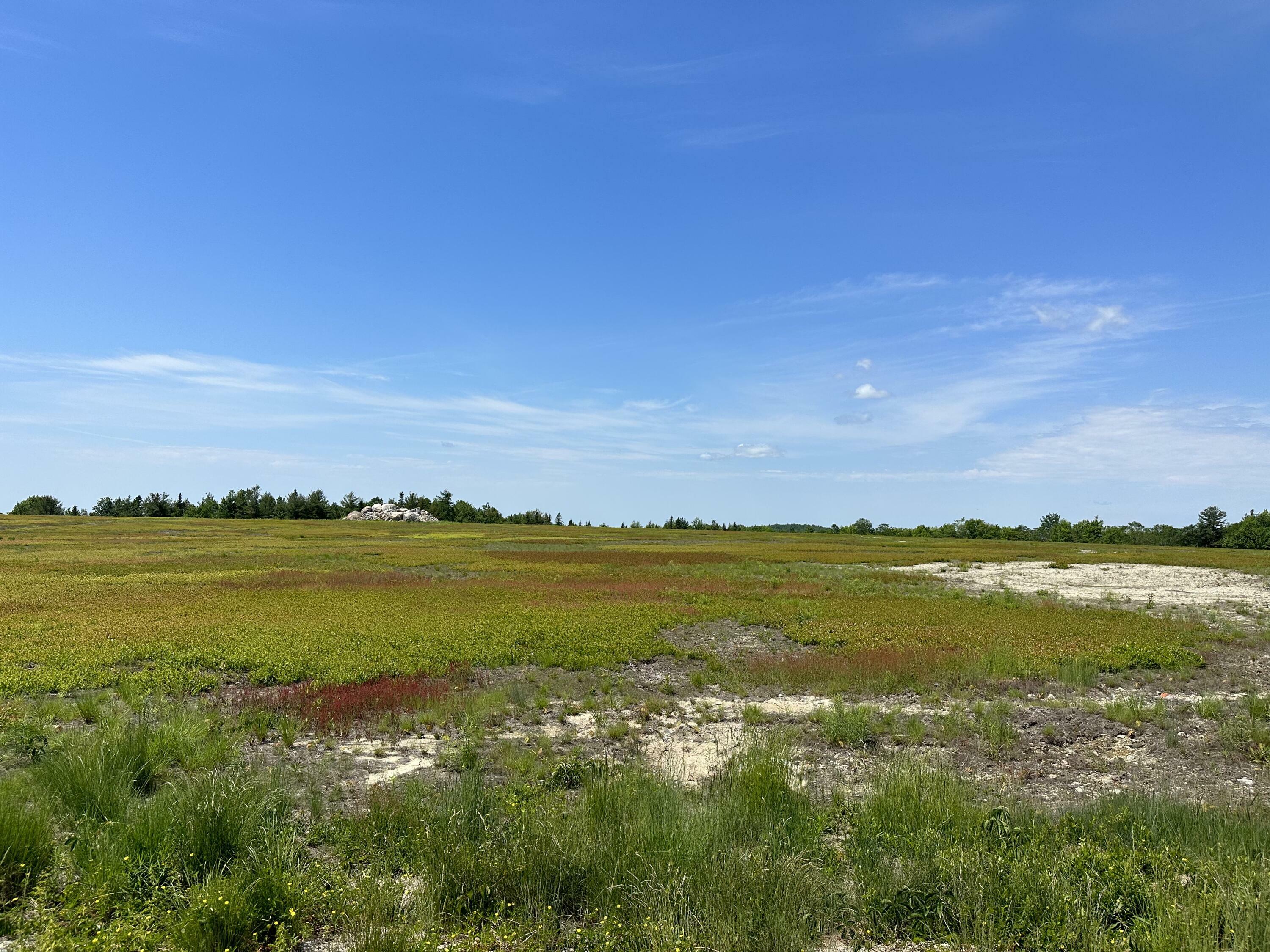 Property Photo:  Map13lot11 Martins Ridge Road  ME 04634 