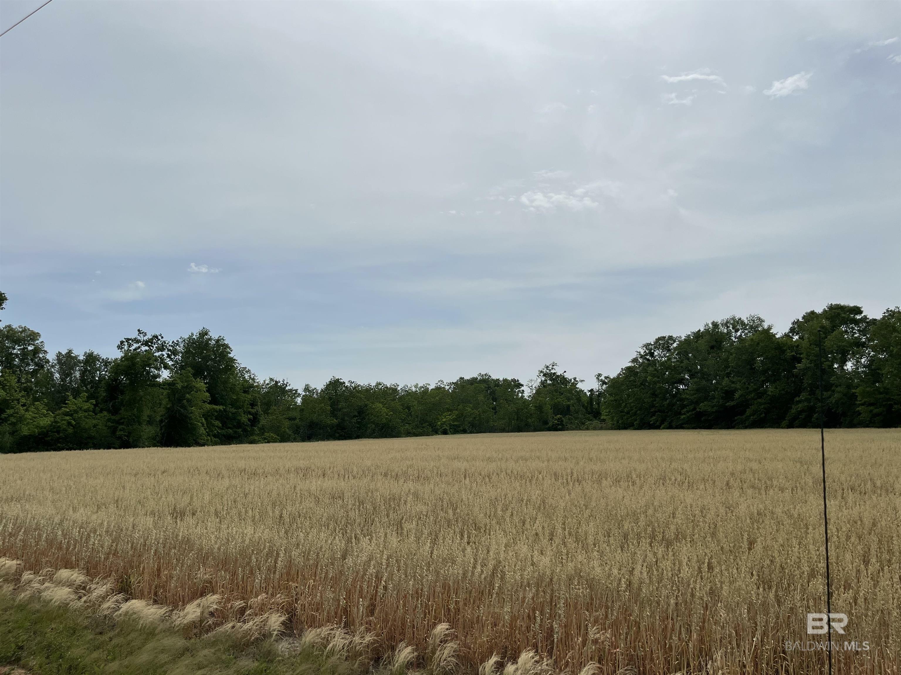 Property Photo:  0 S County Road 34  AL 36580 