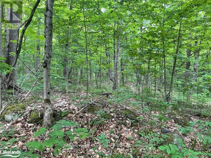Property Photo:  23 Ahmic Lake Road  ON P0A 1A0 