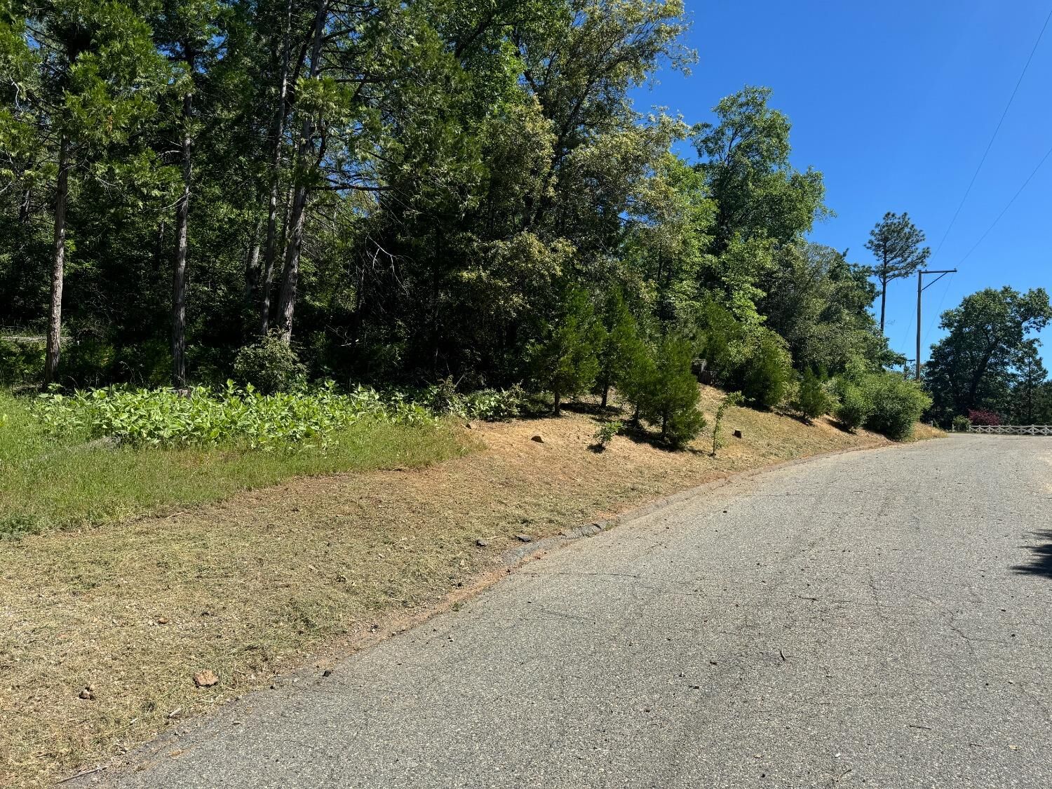 Property Photo: 52802 Meadow Ranch Road CA 93643