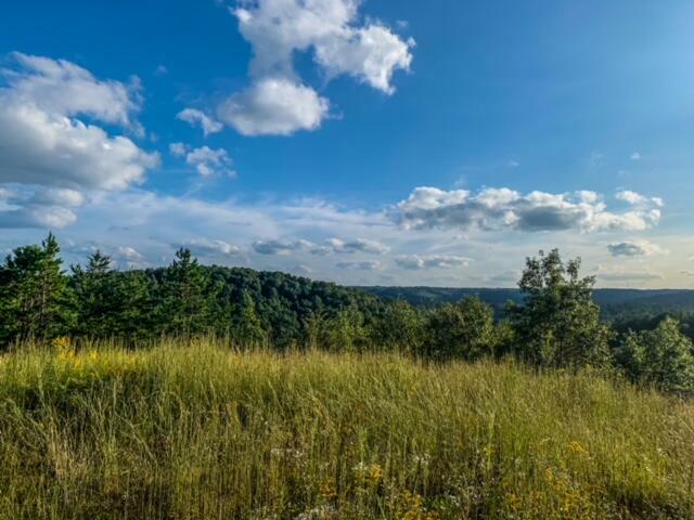 Property Photo:  465 Anderson Cemetry Road  KY 40445 