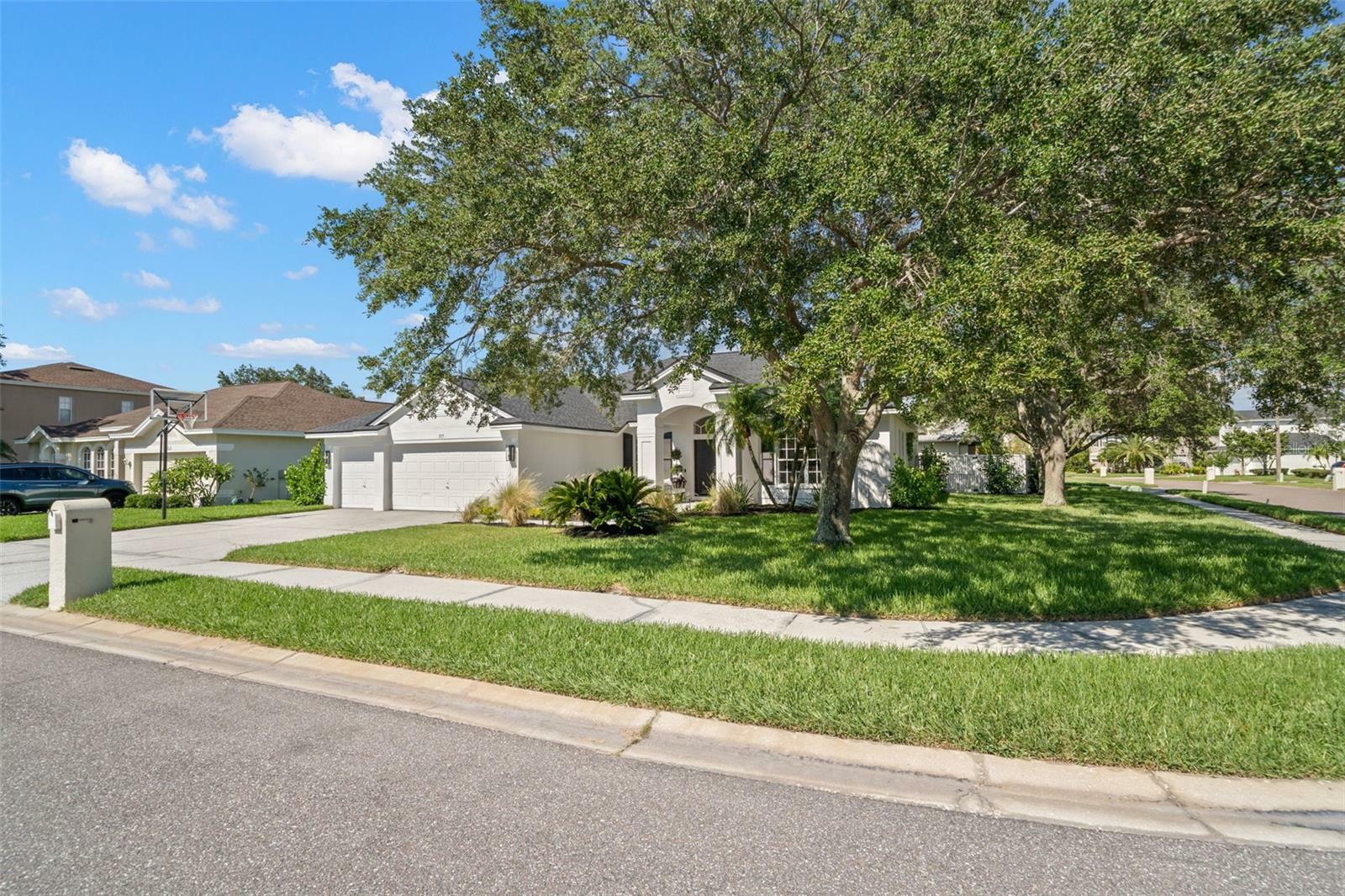 Property Photo:  517 Lakewood Drive  FL 34677 