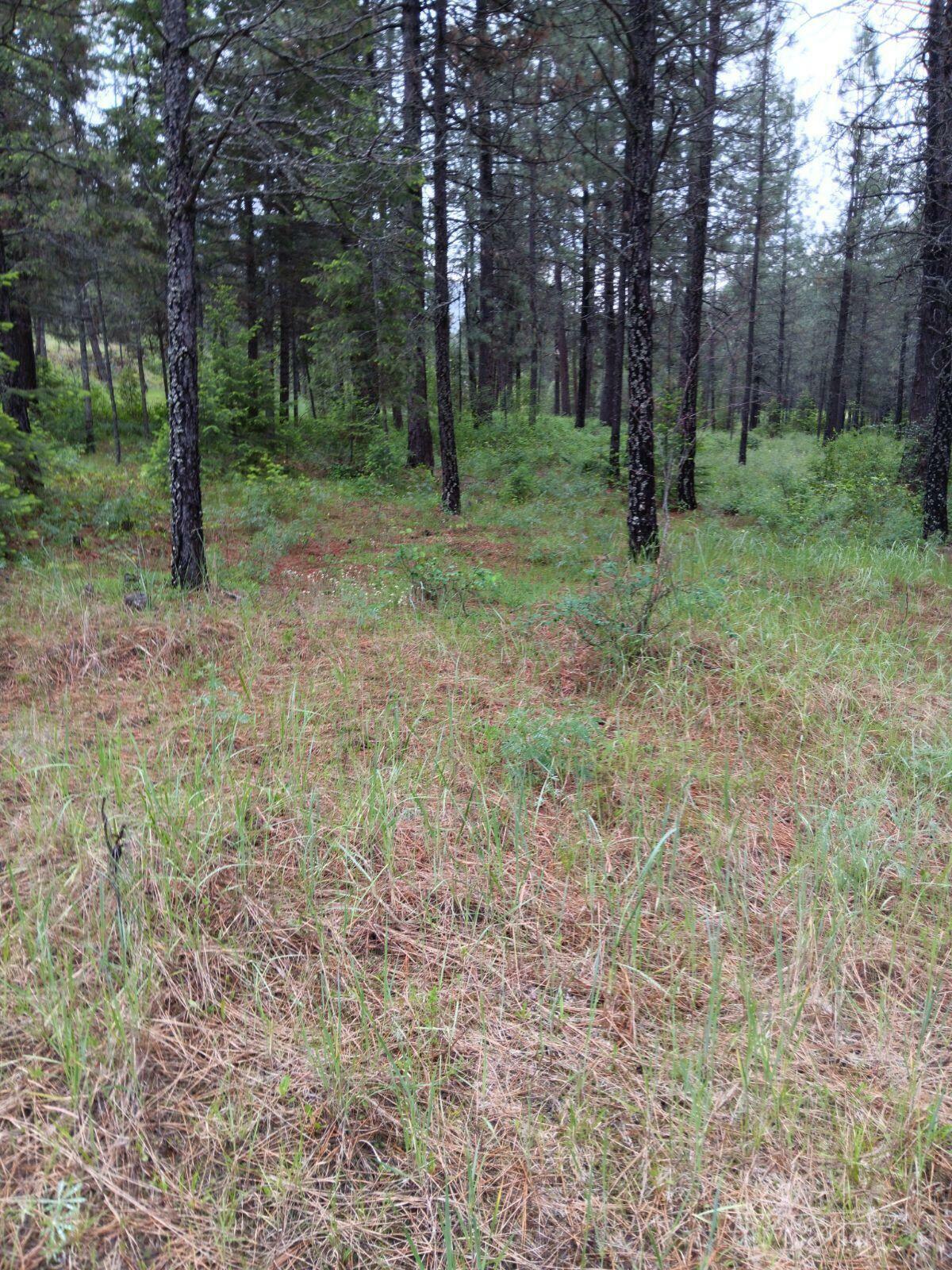 Property Photo:  Tbd Sand Creek Road  WA 99141 