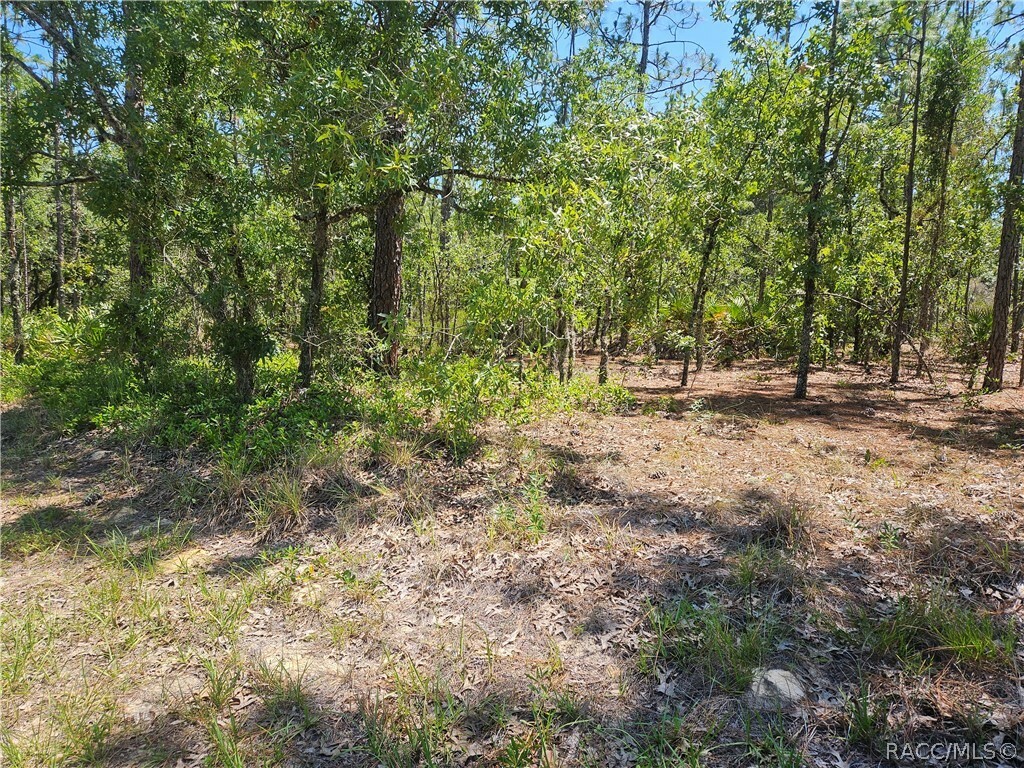 Property Photo:  3236 Bravo Drive  FL 34465 