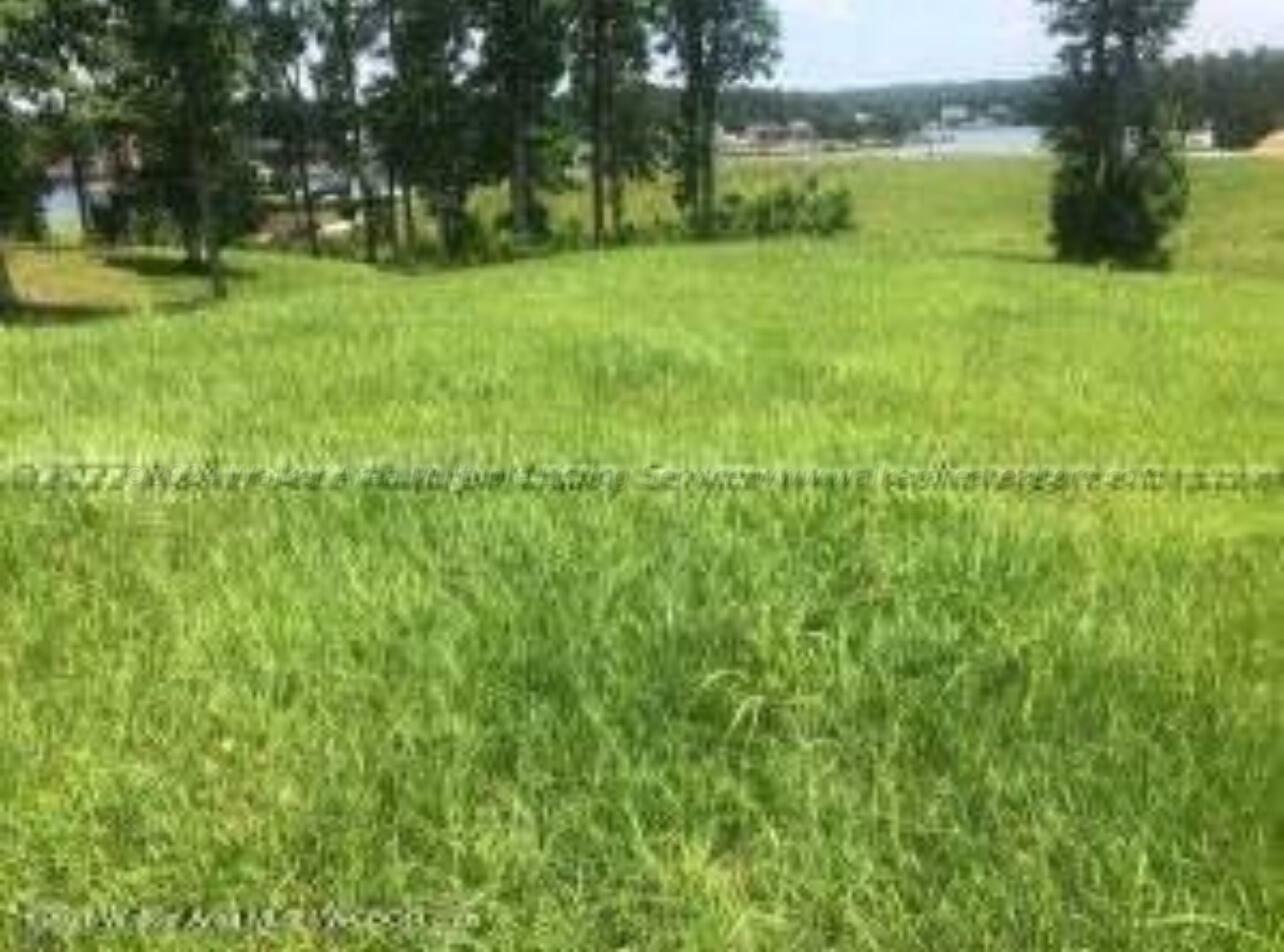 Property Photo:  Lot 18 Sispey Shores  AL 35504 