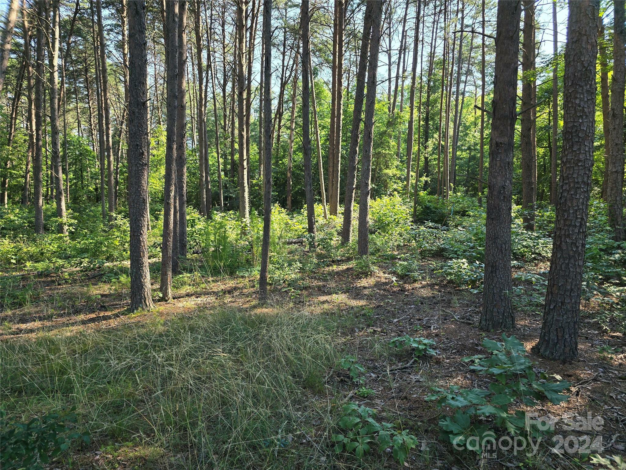 Property Photo:  Tbd Wildwood Road  NC 28146 